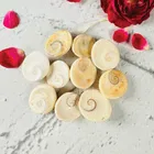 Mangal Bhavan Puja Gomti Chakra Set, 11 pcs