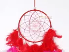 Feather Wall Hanging Dream Catcher 