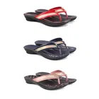 Combo of Slippers for Women 