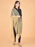 Net Self-Design Dupatta for Women 