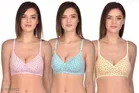 Cotton Blend Printed Padded Bra for Women 
