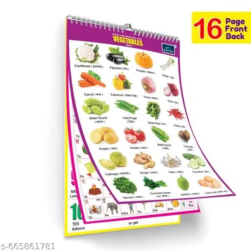 English Chart For Kids (16 Charts ) 36 x 50 cm - Children Spiral Wall Picture Chart