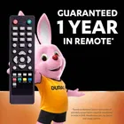 DURACELL Alkaline AA Battery 