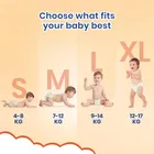 Super Cutes Premium Diaper, 78 Diapers 