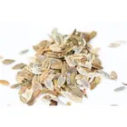 Zello Zinnia Mixed Flower 