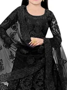 Net Embroidered Semi Stitched Lehenga for Girls 