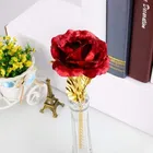 Rose with Gift Box and Carry Bag