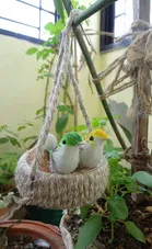 Rope Made Hanging Bird Nest 