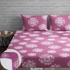 Microfibre Fitted White Medallion Bedsheet 78x72in Pink