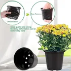 Plastic Plant Container 