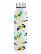 Stainless Steel Insulated Single Wall Water Bottle 