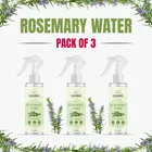 Rosemary Water Spray for Hair 