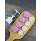 Plastics Moon Cake Moulds With 5 Press Stamps, Multicolour, Set of 1