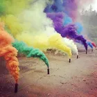 Holi Colour smoke fog for wedding parties and festivals Holi Color Powder 