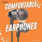 TecSox Bassbuds 71 Wired Earphones with Mic [Chrome Grey]