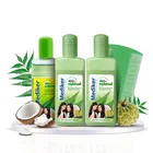 Mediker Anti Lice Combo, Anti lice Shampoo 50ml pack of 2 + Anti lice Oil + Lice Comb, 150 ml