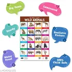 Bookford Publications My small chart Alphabet+Wild Animals & Vegetables 