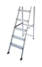 Homefit Aluminum 5 Step Ladder With Antskit 