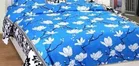 Polycotton Double Bedsheet with 2 Pillow Cover 