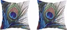 KANUSHI INDUSTRIES® Printed Cushions Cover