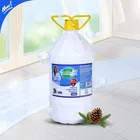 ब्राइटएक्स पाइन फिनाइल 5 L