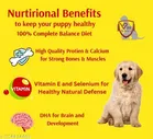 Dog Adult Nutrious Dry Kibble Food ,450g,