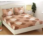 Glace Cotton Elastic Fitted Double Bedsheet with 2 Pillow Covers 