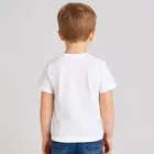 Round Neck Printed T-Shirt for Boys 