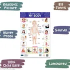 Bookford Publications My small chart Alphabet, My Body & Hindi Varnamala 