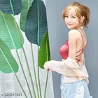 Lycra Bra for Women & Girls, Multicolour, Pack of 3 