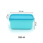 Polka Plastic Container 250ml Set of 2