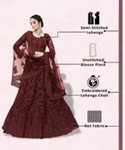 Net Embroidred Semi Stiched Lehenga Choli for Women 