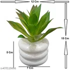 Plastic Artificial Flower With Pot,Multicolour,Set Of 2