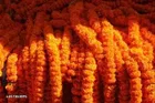 Polyester Artificial Marigold Flowers Garlands 