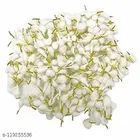 Cotton Round Handmade Wicks for Pooja Aarti 