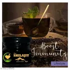 Fij Ayurveda Pure Shilajit Resin 