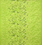 Cotton 88x88 Inch Bedsheet with 2 Pillow Cover 