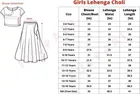 Net Embroidered Semi Stitched Lehenga for Girls 