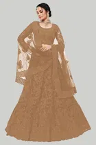 Net Embroidred Semi Stiched Lehenga Choli for Women 