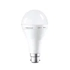 Rechargeable LED Bulb (White, 12 W)