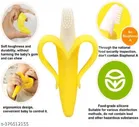 Teether with Fruit Nibbler for Baby 