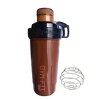 Gym Shaker Bottle with Steel Blender Ball (Assorted, 750 ml)