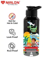 Stainless Steel Insulated Single Wall Water Bottle 