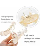 Plastic Hair Clutcher for Women & Girls 
