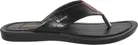 Slippers for Men 