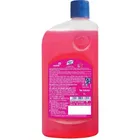 लिज़ोल डिसइन्फेक्टेंट सर्फ़ेस और फ्लोर क्लीनर लिक्विड, फ्लोरल 625 ml