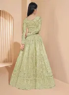 Net Embroidered Semi Stitched Lehenga for Girls 