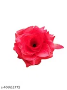 Plastic Artificial Flower 
