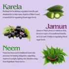 KAYABOOST Neem Karela Jamun Powder 