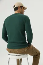 Cotton Blend Solid Sweatshirt for Men, Green 